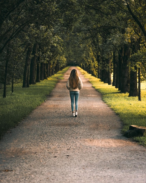 Vista traseira de uma mulher caminhando por uma calçada entre árvores