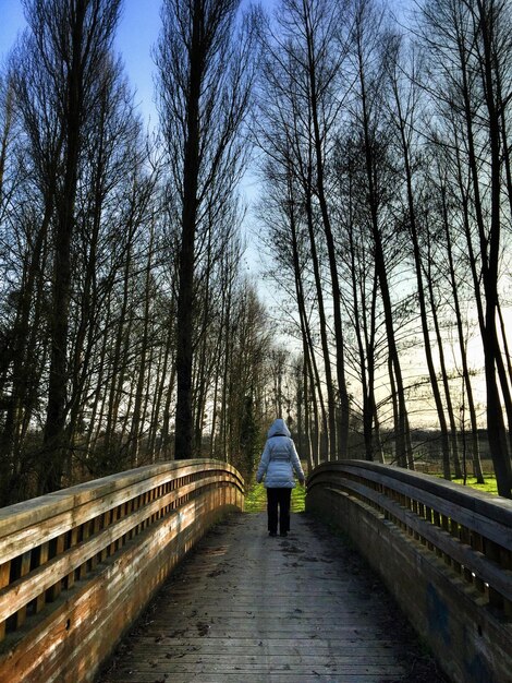 Vista traseira de uma mulher caminhando por uma trilha na floresta