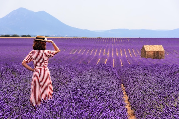 Vista traseira de uma mulher de pé em um campo de lavanda contra um céu claro