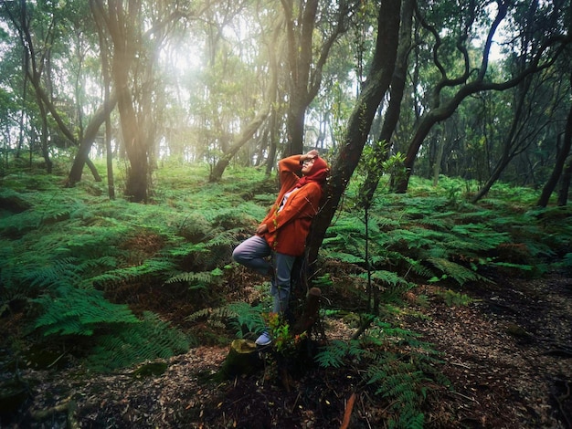 Vista traseira de uma mulher de pé na floresta