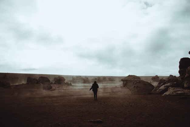 Foto vista traseira de uma mulher de pé no campo por formação rochosa contra o céu