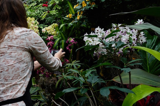 Foto vista traseira de uma mulher fotografando flores através de um telefone celular