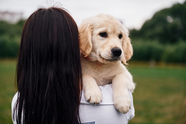 Foto vista traseira de uma mulher que está com um cão retriever dourado no campo verde