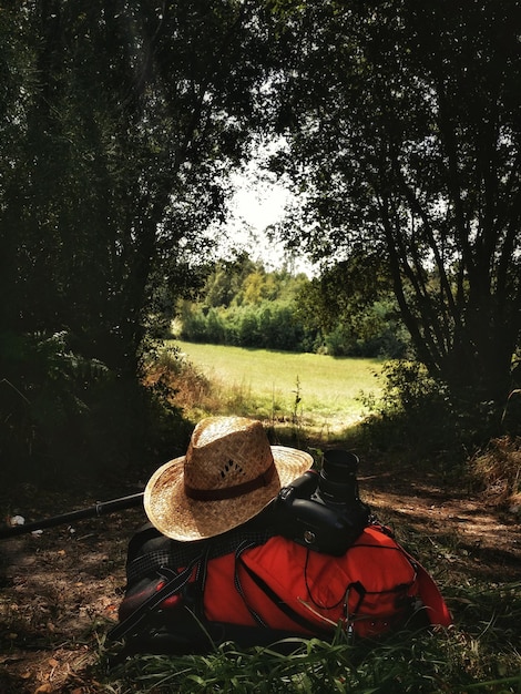 Foto vista traseira de uma pessoa a relaxar no campo