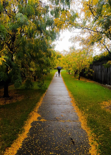 Foto vista traseira de uma pessoa caminhando por uma calçada no parque