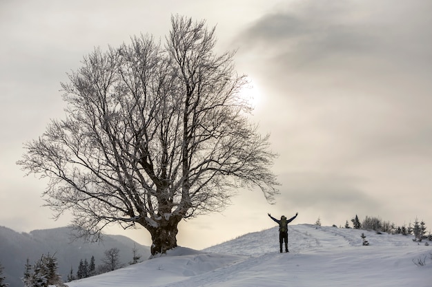 Vista traseira do caminhante do turista com a mochila em pé na neve profunda limpa branca na grande árvore no fundo das montanhas arborizadas e céu nublado.