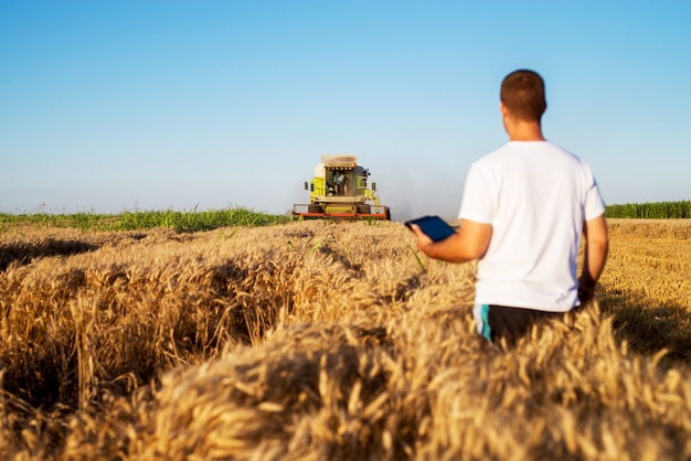 Vista traseira do engenheiro agrônomo jovem em pé em um campo de trigo dourado com tablet e olhando a ceifeira na frente.