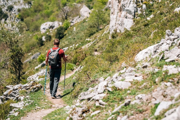 Vista traseira do explorador com mochila admirando o terreno rochoso durante uma caminhada em um dia ensolarado