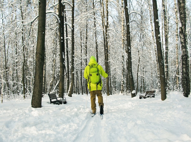 Vista traseira do homem correndo em esquis cross-country no fundo da floresta de inverno