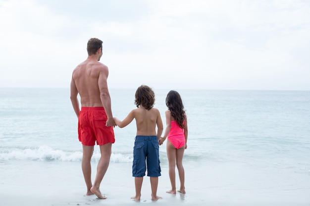 Vista traseira do pai com os filhos na praia