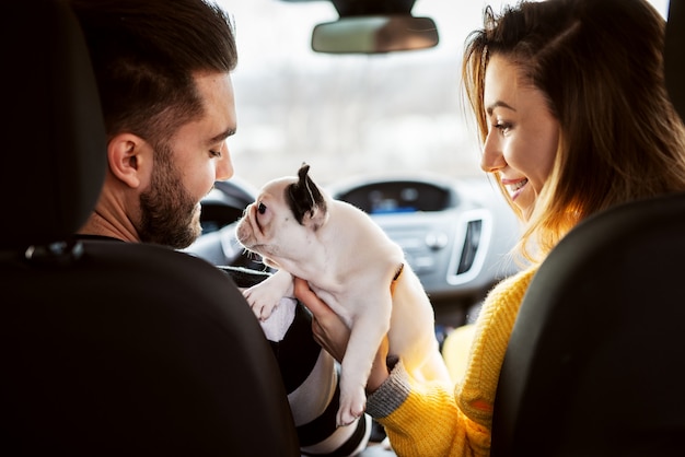 Vista traseira em um carro de atraente jovem sorridente amor casal brincando com seu adorável cachorrinho.