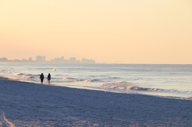 Vista trasera de amigos caminando por la playa de arena durante el amanecer