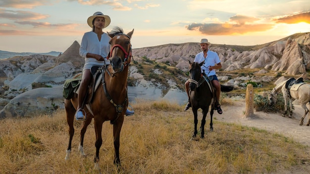 Foto vista trasera de los caballos en el campo contra el cielo durante la puesta de sol