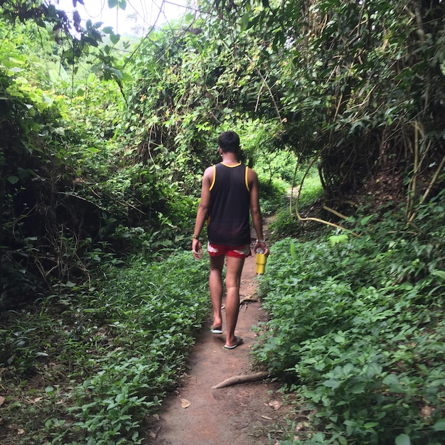 Vista trasera completa de un hombre caminando por el bosque