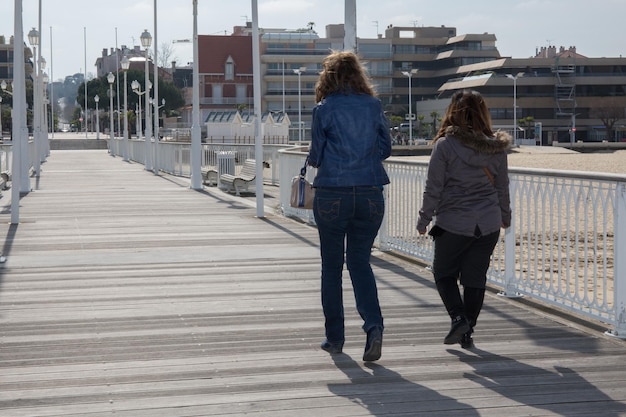 vista trasera, de, dos niñas, quién, paseos, en, playa