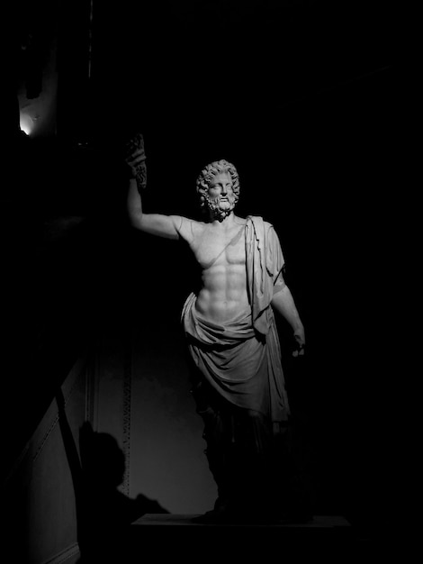 Vista trasera de una estatua femenina en un museo