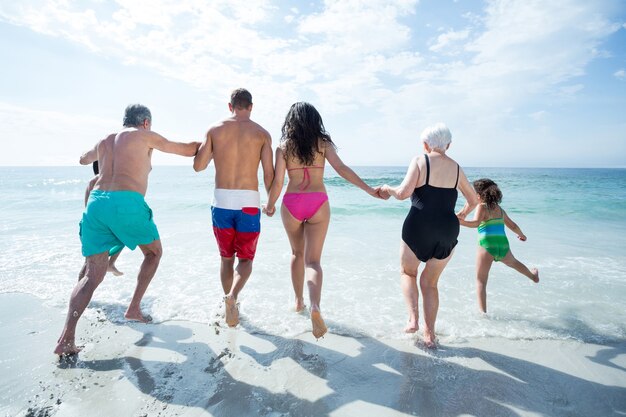 Vista trasera de la familia de varias generaciones en la playa