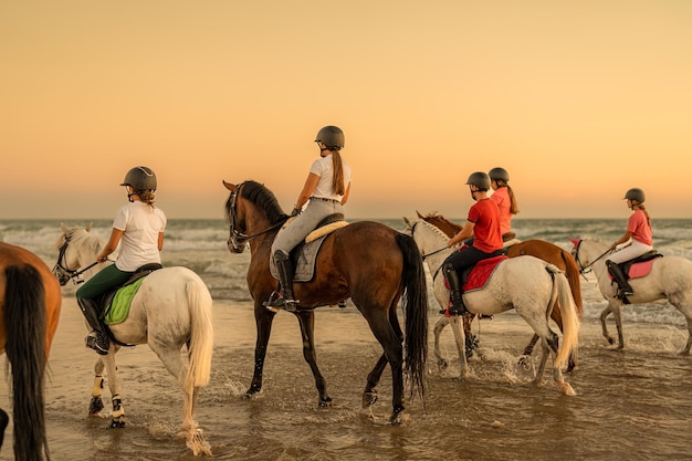 Vista trasera de un grupo de 6 caballos montados por jóvenes jinetes al trote en el mar