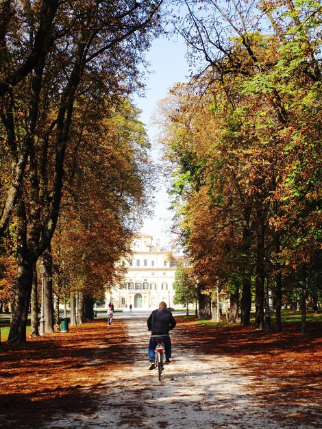 Foto vista trasera de un hombre en bicicleta en un parque durante el otoño