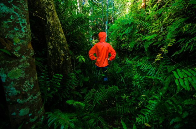 Foto vista trasera de un hombre en el bosque