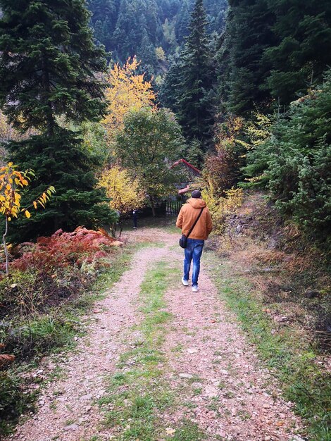 Foto vista trasera de un hombre caminando por el bosque durante el otoño