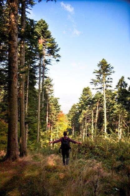 Foto vista trasera de un hombre caminando por el bosque