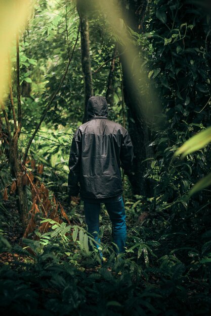 Foto vista trasera de un hombre caminando por el bosque