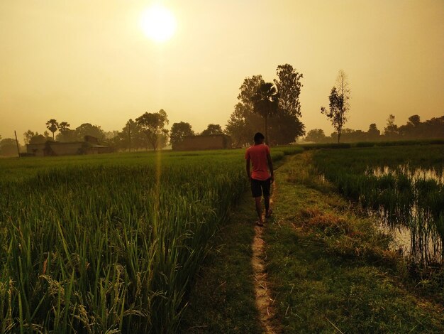 Vista trasera de un hombre caminando por el campo contra el cielo durante la puesta de sol