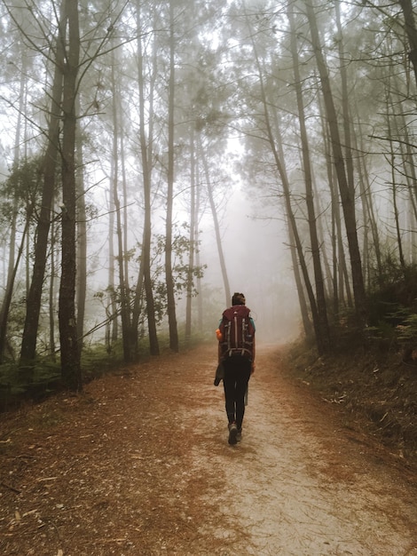 Foto vista trasera de un hombre caminando por la carretera en el bosque