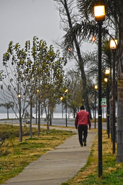 Foto vista trasera de un hombre caminando por la carretera en medio de los árboles