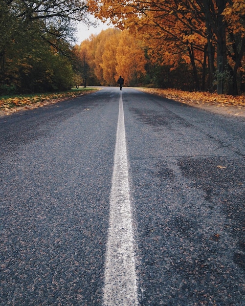 Foto vista trasera de un hombre caminando por la carretera durante el otoño