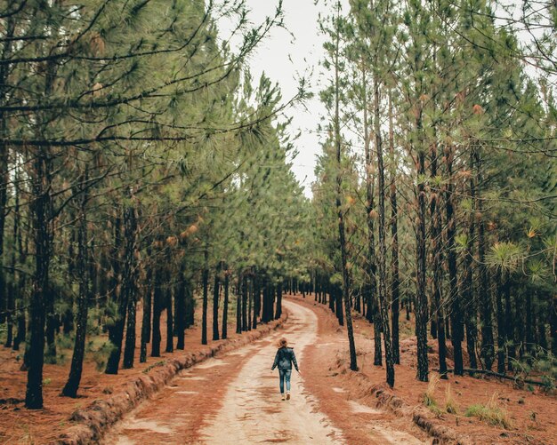 Foto vista trasera de un hombre caminando en el parque