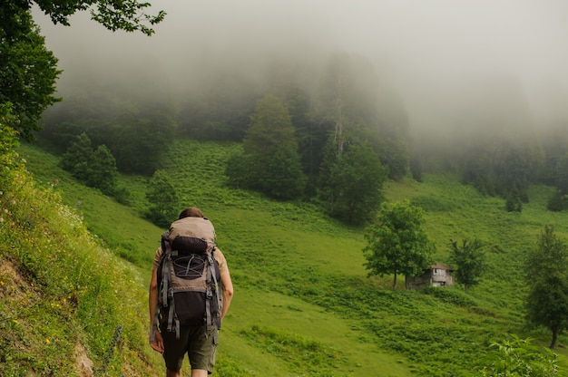 Foto vista trasera del hombre caminando sobre la colina mirando el bosque en la niebla