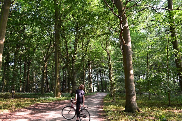 Vista trasera de un hombre montando en bicicleta en el bosque