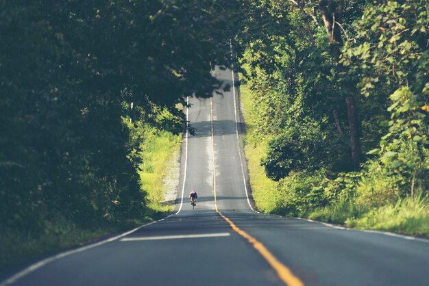 Vista trasera de un hombre montando una bicicleta en la carretera