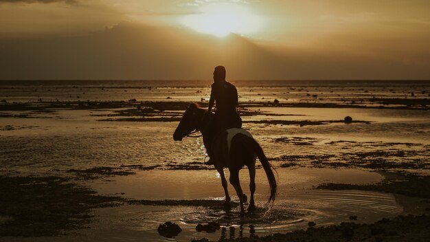 Vista trasera de un hombre montando a caballo en la playa contra el cielo