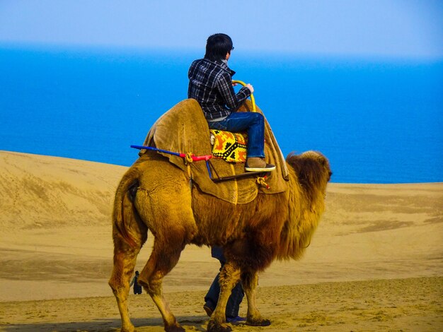 Foto vista trasera de un hombre montando un caballo