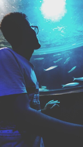 Vista trasera de un hombre nadando en un acuario