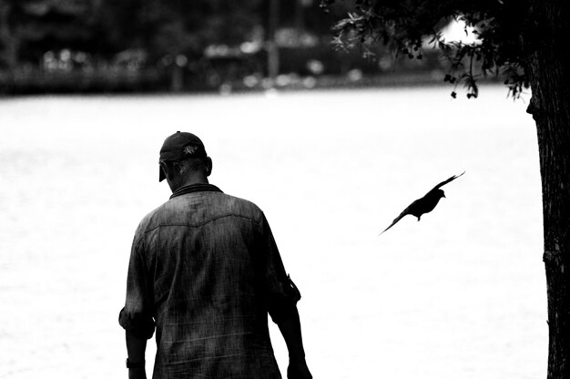 Foto vista trasera de un hombre y un pájaro volando