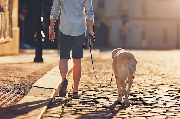 Vista trasera de un hombre con un perro caminando por el adoquín