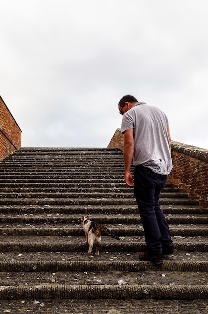 Foto vista trasera de un hombre de pie junto al gato en las escaleras contra un cielo despejado