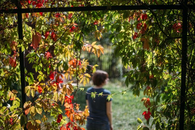 Foto vista trasera de un hombre de pie junto a un árbol en flor