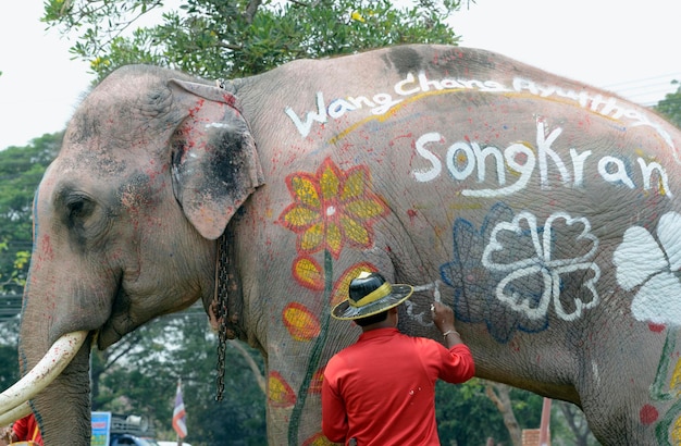 Vista trasera de un hombre pintando en un elefante