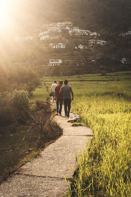 Foto vista trasera de hombres caminando por el sendero