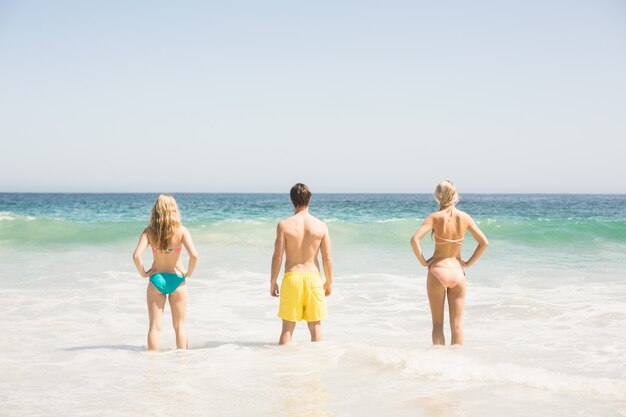 Vista trasera de jóvenes amigos de pie en la playa