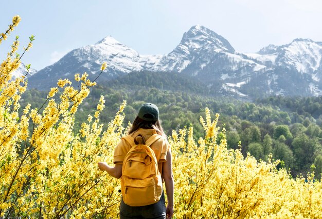 Vista trasera de la mochila amarilla de mujer entre arbustos de forsythia florecientes contra picos de montaña nevados