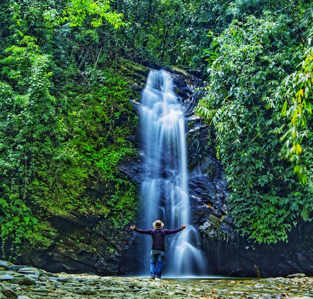 Foto vista trasera de una mujer con los brazos extendidos de pie contra una cascada en el bosque