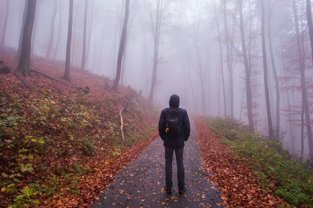 Foto vista trasera de una mujer caminando por el bosque