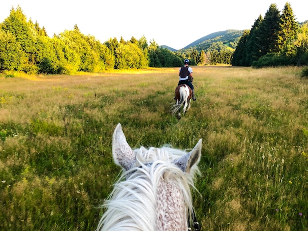 Vista trasera de una mujer caminando por el campo