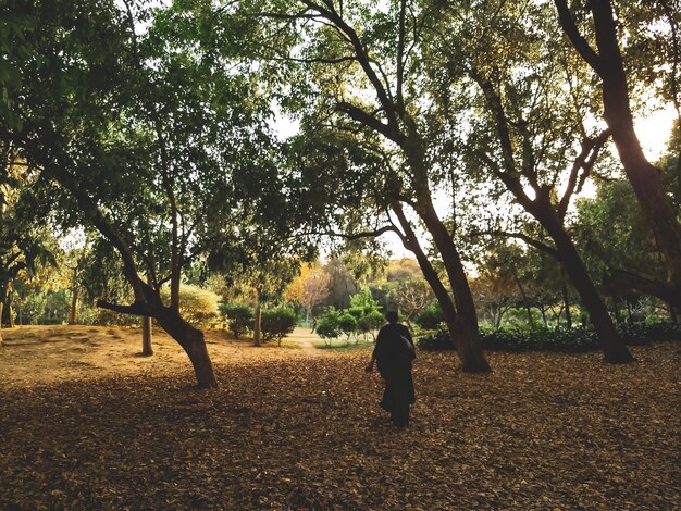 Foto vista trasera de una mujer caminando en el parque